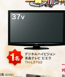 デジタルハイビジョン 液晶テレビ ビエラ TH-L37G2
