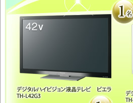 デジタルハイビジョン液晶テレビ　ビエラ　TH-L42G3　１名