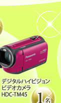 デジタルハイビジョンビデオカメラ　HDC-TM45　１名
