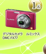 デジタルカメラ　ルミックス　DMC-FX77　１名
