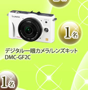 デジタル一眼カメラ/レンズキット　DMC-GF2C　１名