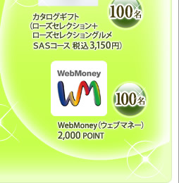 WebMoney（ウェブマネー）2,000 POINT　100名